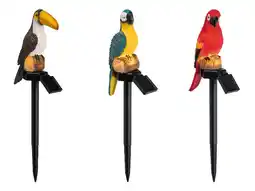 Lidl LIVARNO Decoratieve tuinlamp op zonne-energie aanbieding