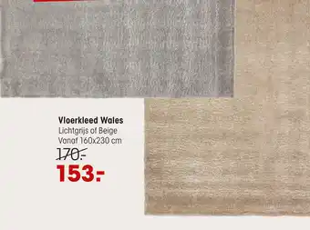 Kwantum Vloerkleed Wales Lichtgrijs of Beige aanbieding