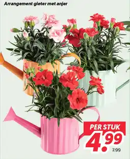Dekamarkt Arrangement gieter met anjer aanbieding