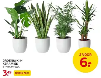 Praxis GROENMIX IN KERAMIEK aanbieding