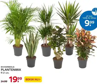 Praxis PLANTENMIX aanbieding