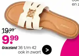 vanHaren Graceland aanbieding