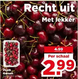 PLUS PLUS Kersen aanbieding