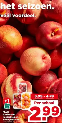 PLUS PLUS Abrikozen, nectarines en wilde perziken aanbieding