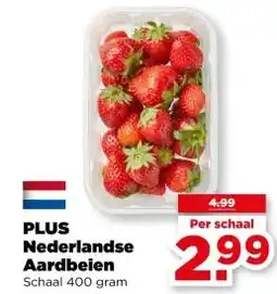 PLUS PLUS Nederlandse Aardbeien aanbieding
