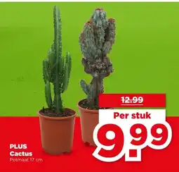 PLUS PLUS Cactus aanbieding