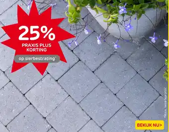 Praxis Sierbestrating aanbieding