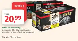 Maxi Zoo Sheba kattenvoeding aanbieding