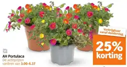 Albert Heijn AH Portulaca aanbieding
