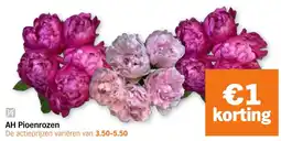Albert Heijn AH Pioenrozen aanbieding