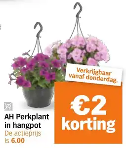Albert Heijn AH Perkplant in hangpot aanbieding