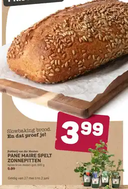 Ekoplaza Panese maire spet zonnepunten aanbieding