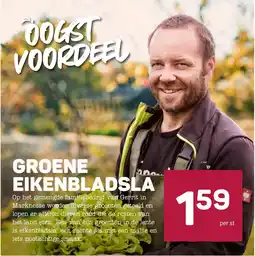 Ekoplaza Groene Eikenbladsla aanbieding