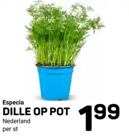 Ekoplaza Especia Dille op Pot aanbieding