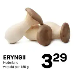 Ekoplaza Eryngii aanbieding