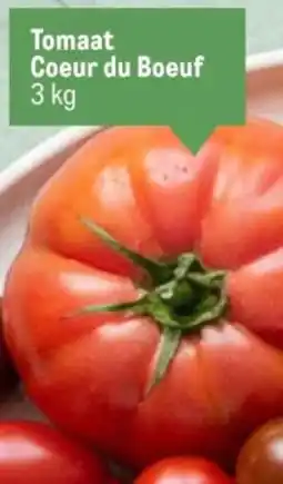 Makro Tomaat Coeur du Boeuf aanbieding
