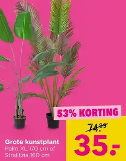 Xenos Grote kunstplant aanbieding