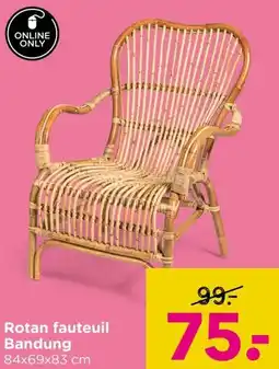 Xenos Rotan fauteuil Bandung aanbieding