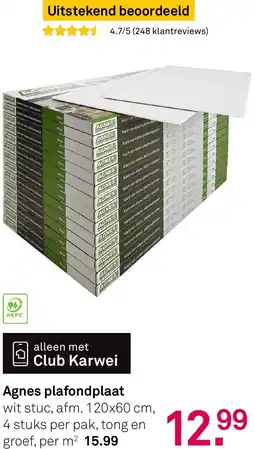 Karwei Agnes plafondplaat aanbieding