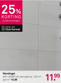 Karwei Wandtegel aanbieding