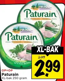 Vomar Voordeelmarkt Paturain aanbieding