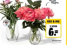 Jumbo Pioenrozen aanbieding