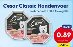Die Grenze Cesar Classic Hondenvoer aanbieding