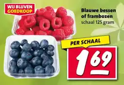 Nettorama Blauwe bessen of frambozen aanbieding