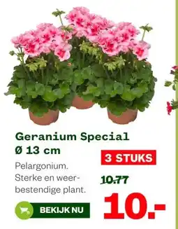Welkoop Geranium Special Ø 13 cm aanbieding