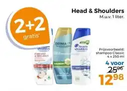 Trekpleister Head & Shoulders aanbieding