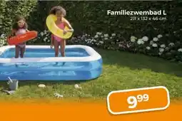 Trekpleister Familiezwembad L aanbieding