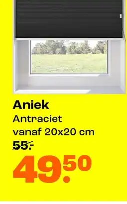 Kwantum Bekijk plissegordijn Aniek aanbieding