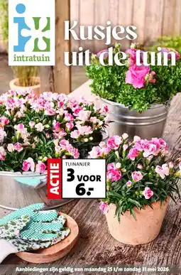 Intratuin TUINANJER aanbieding