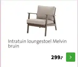 Intratuin Intratuin loungestoel Melvin bruin aanbieding