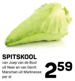 Ekoplaza SPITSKOOL aanbieding