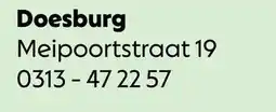 AllesZ Doesburg aanbieding