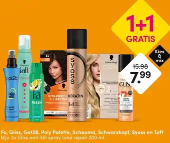 Fa, Gliss, Got2B, Poly Palette, Schauma, Schwarzkopf, Syoss en Taft