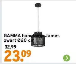GAMMA GAMMA hanglamp James zwart Ø20 cm aanbieding