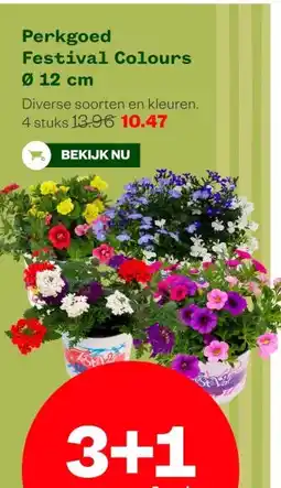 Welkoop Perkgoed Festival Colours Ø 12 cm aanbieding