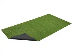 Lidl LIVARNO Grastapijt 100 x 200 cm aanbieding