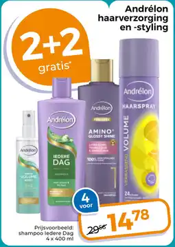 Trekpleister Andrélon haarverzorging en -styling aanbieding