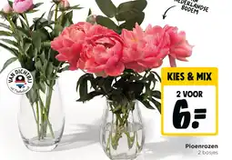 Jumbo Pioenrozen aanbieding