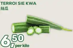 Amazing Oriëntal TERROI SIE KWA aanbieding