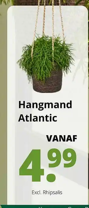 GroenRijk Hangmand Atlantic aanbieding