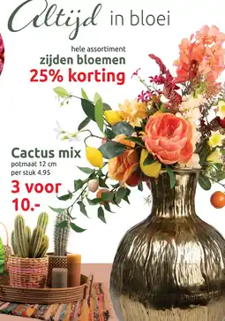 Deka Tuin Cactus mix aanbieding