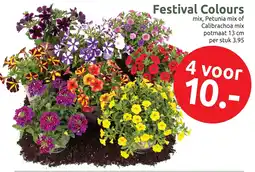 Deka Tuin Festival Colours aanbieding