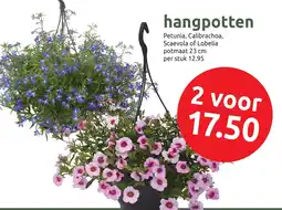 Deka Tuin hangpotten aanbieding