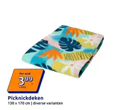 Action Picknickdeken aanbieding
