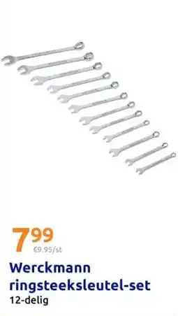 Action Werckmann ringsteeksleutel-set aanbieding