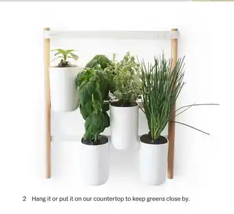 MoMa Design Store Modulo Wall Indoor Garden Kit aanbieding